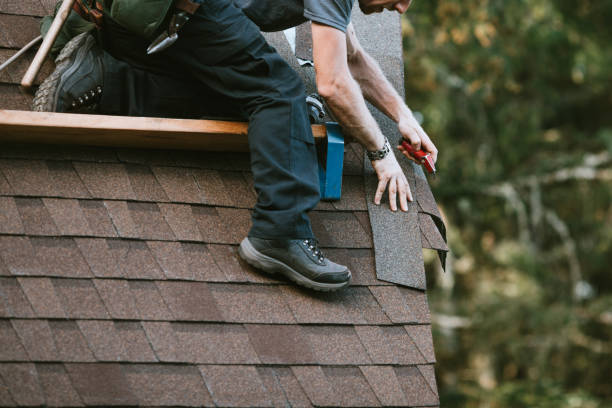 Best Sealant for Roof  in Chesterland, OH